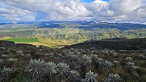 Sumapaz